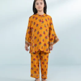 2 Piece – Embroidered Raw Silk Suit