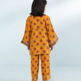 2 Piece – Embroidered Raw Silk Suit